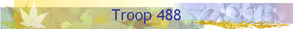Troop 488